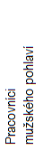 Pracovn�vi mu�sk�ho pohlav�
